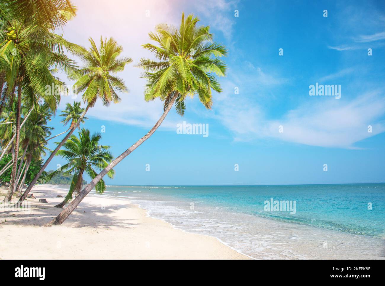 panoramic tropical beach with coconut palm Stock Photo - Alamy
