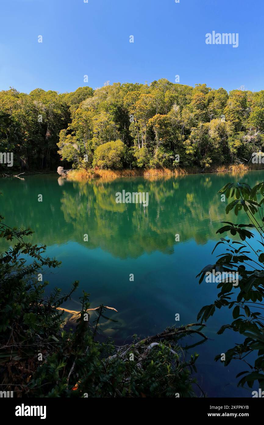 281 Small cove at the southeast extreme of Lake Eacham full of reflecting calm water. Queensland-Australia. Stock Photo
