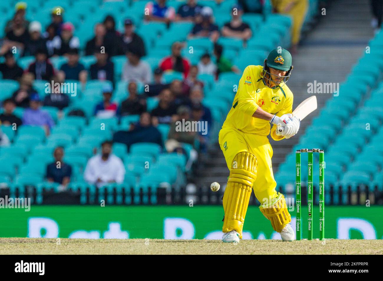 Sydney, Australia. 19 Nov 2022. Australia v. England cricket match in