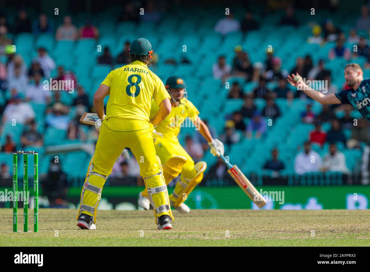Sydney, Australia. 19 Nov 2022. Australia v. England cricket match in