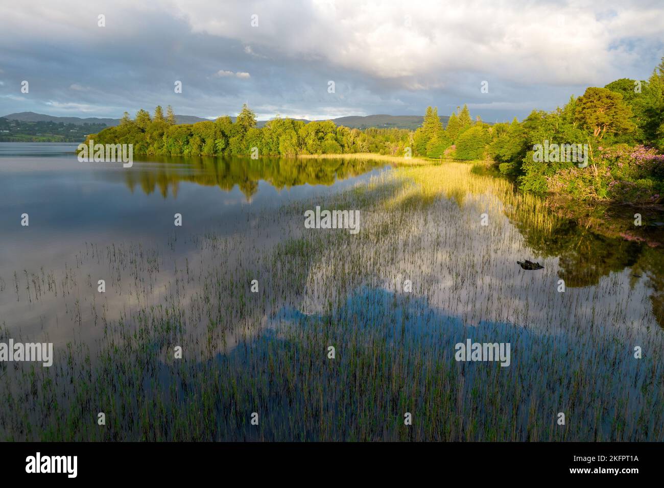 A lake with a greenery shore under cloudy sky Stock Photo - Alamy