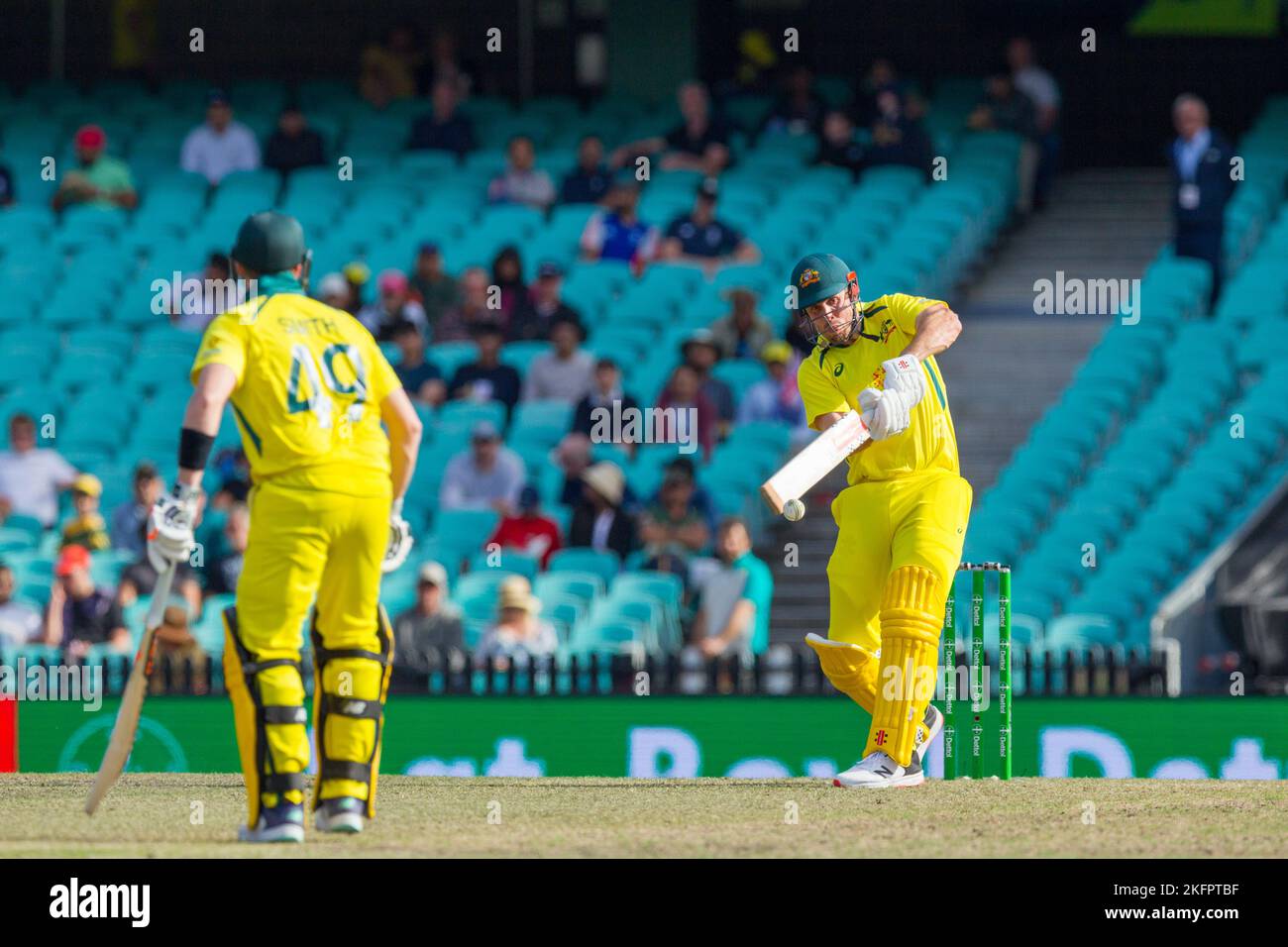 Sydney, Australia. 19 Nov 2022. Australia v. England cricket match in