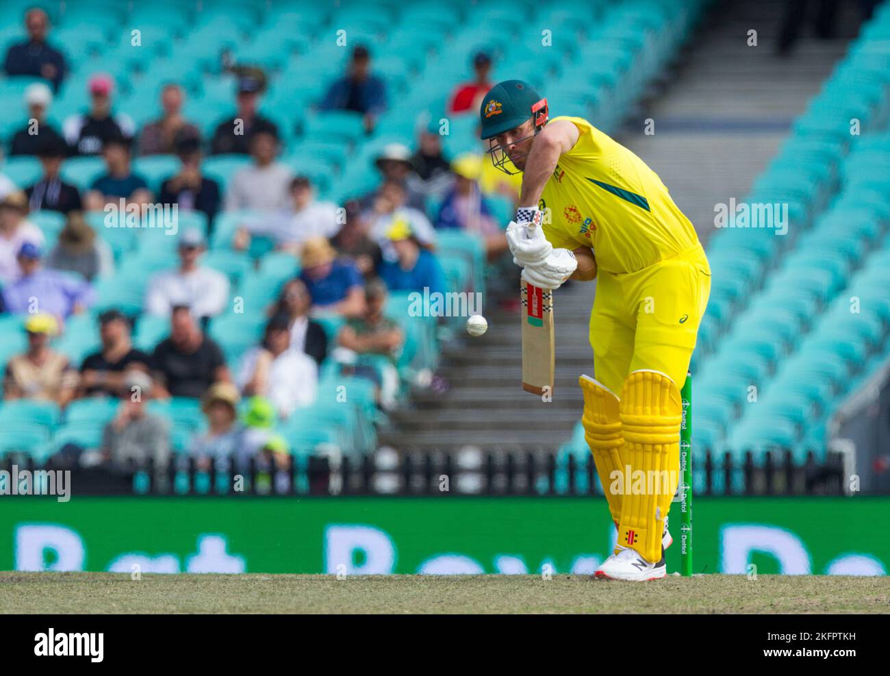 Sydney, Australia. 19 Nov 2022. Australia v. England cricket match in