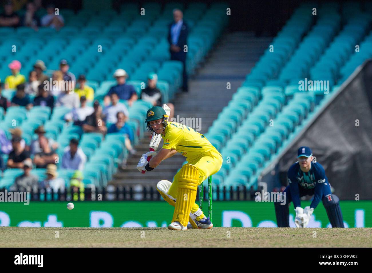 Sydney, Australia. 19 Nov 2022. Australia v. England cricket match in the 20222023 'One Day