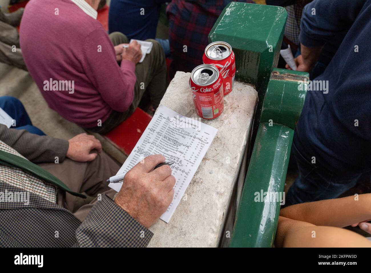 Mule gimmer lamb sale at Hawes auction mart in North Yorkshire UK Stock ...