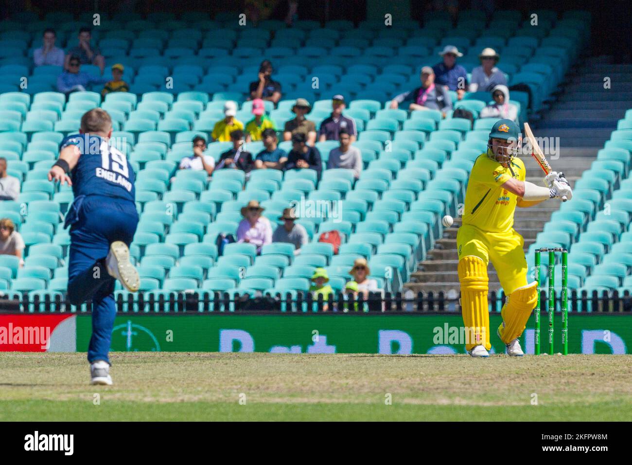 Sydney, Australia. 19 Nov 2022. Australia v. England cricket match in