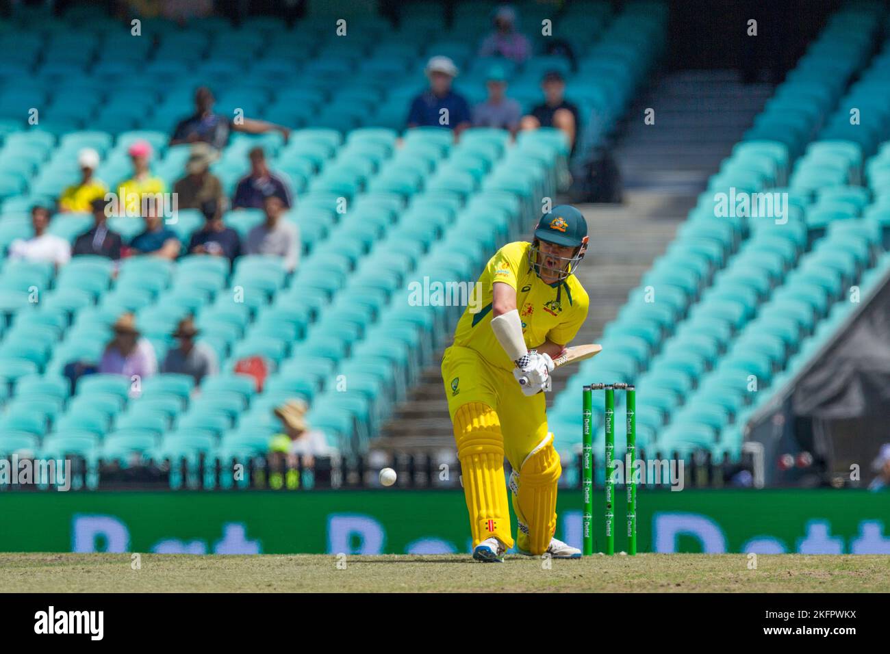 Sydney, Australia. 19 Nov 2022. Australia v. England cricket match in