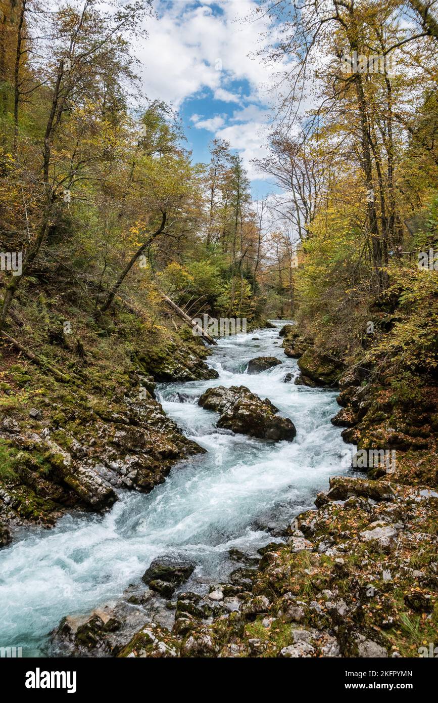 Wilde Rivier Scenic wild river flowing through the Vintgar gorge, Slovenia Stock ...
