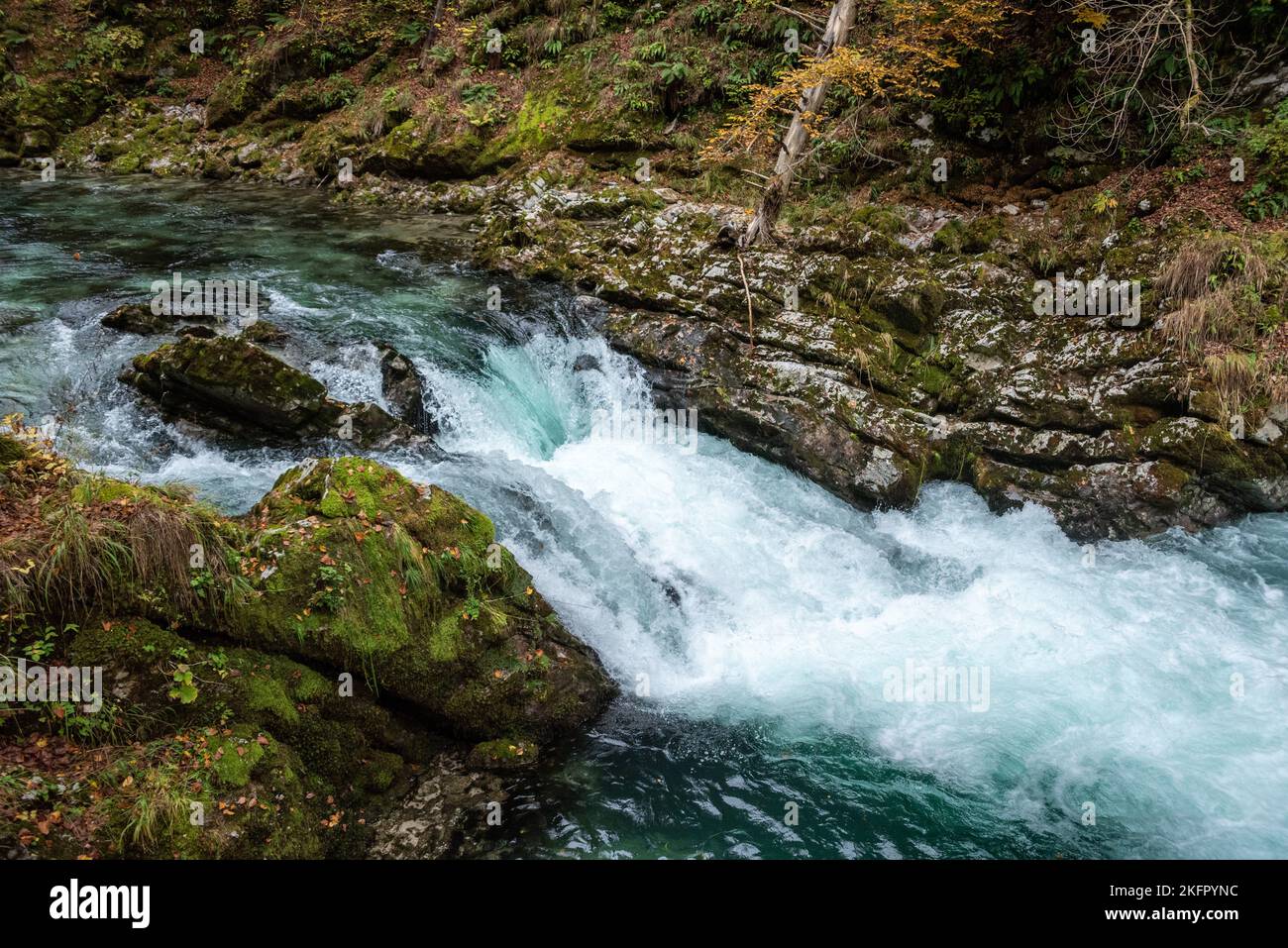Wilde Rivier Scenic wild river flowing through the Vintgar gorge, Slovenia Stock ...