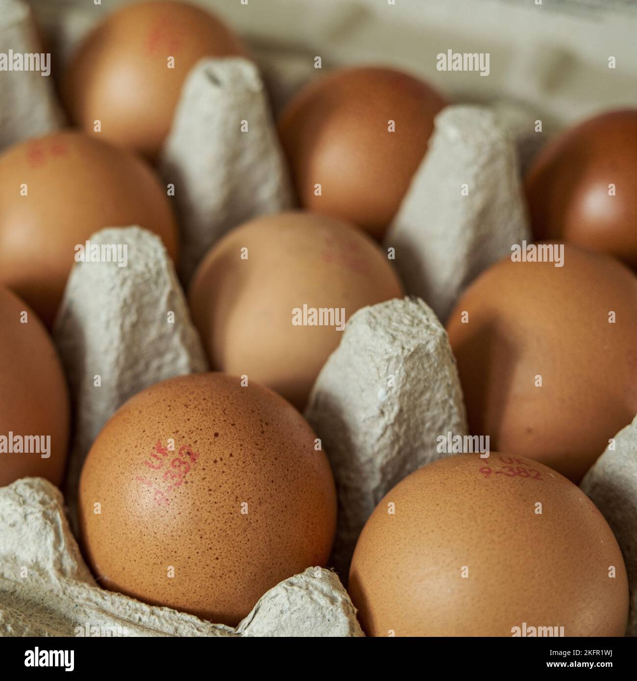 London UK, November 16 2022, Box Or Carton Of Whole Uncooked Fresh Brown Hens Eggs With No People Stock Photo
