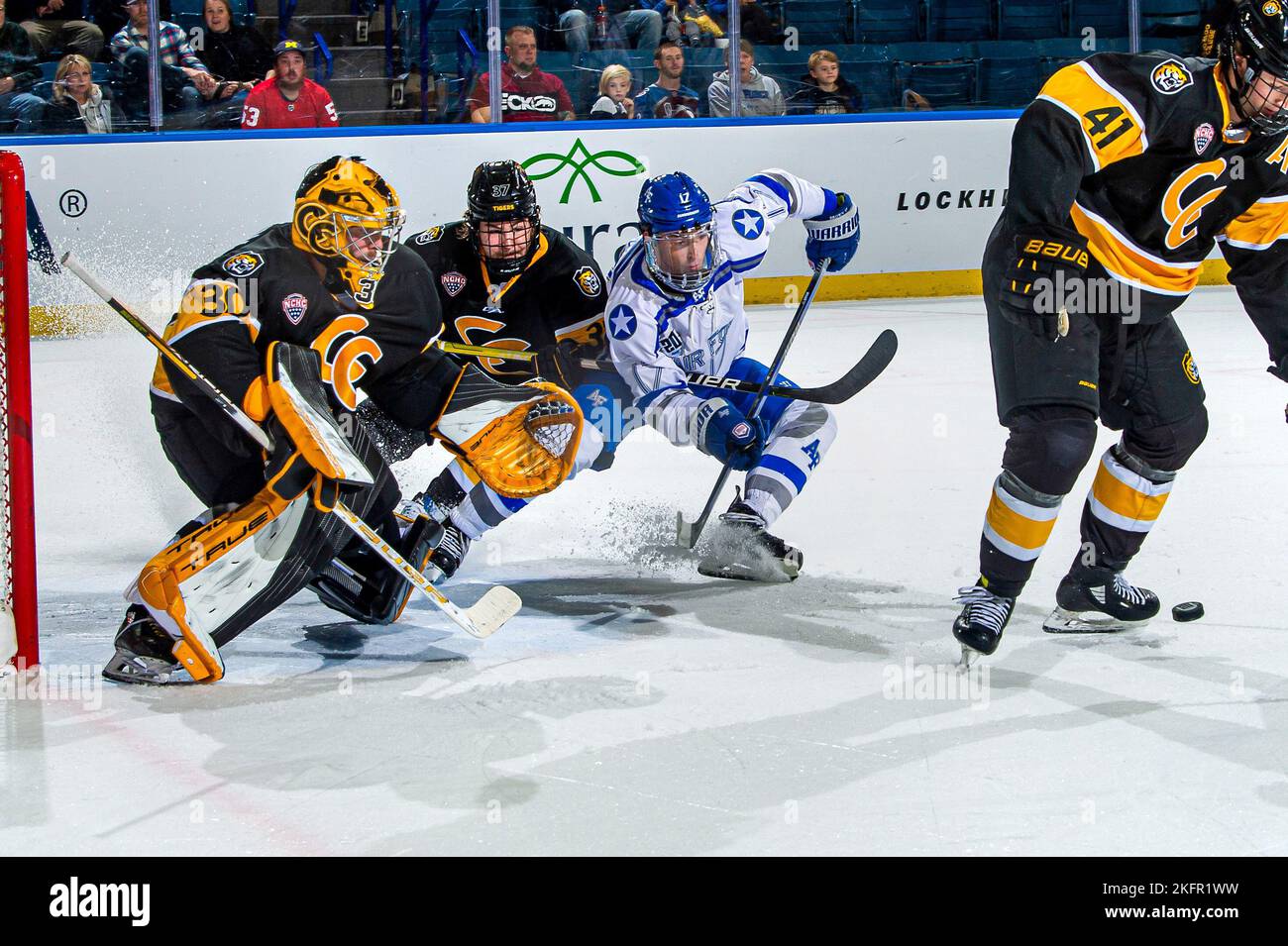 American hockey hi-res stock photography and images - Page 13 - Alamy