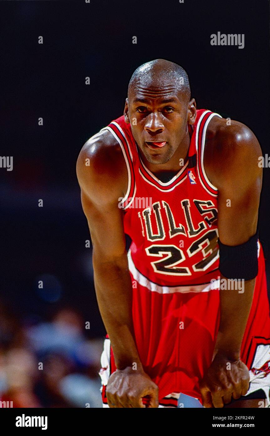 michael jordan 1991 bulls