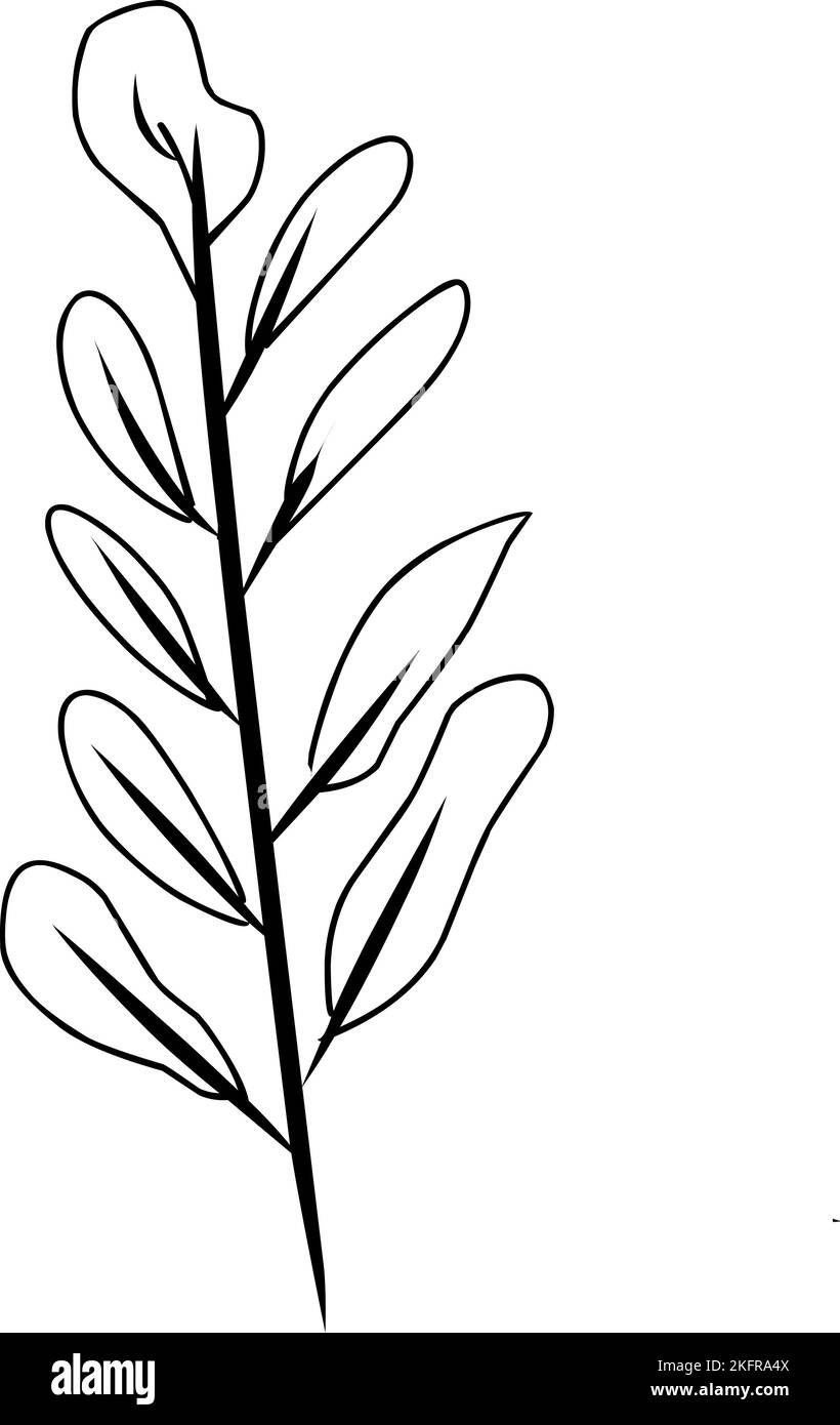 A vertical editable vector of a sketched plant on a white background Stock Vector