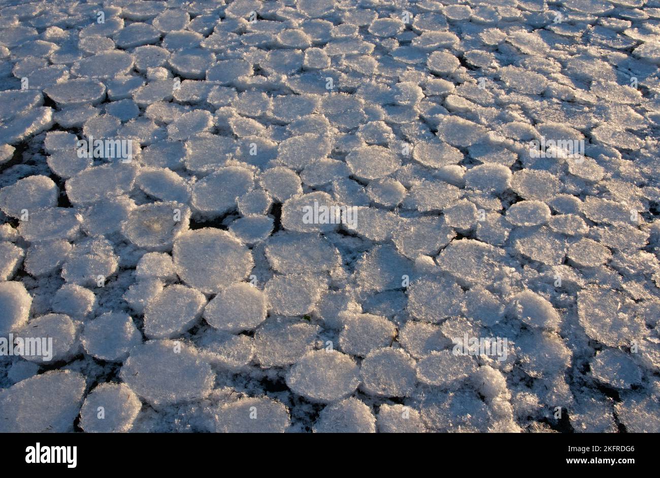 Frozen ice circles stranded on beach at low tide in Southeast Alaska. Stock Photo