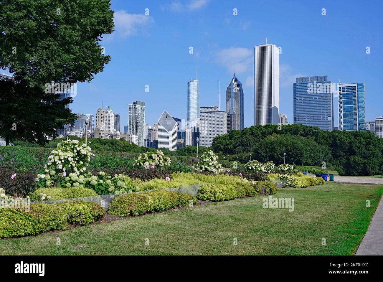 Chicago downtown skyline viewed from Grant Park Stock Photo - Alamy