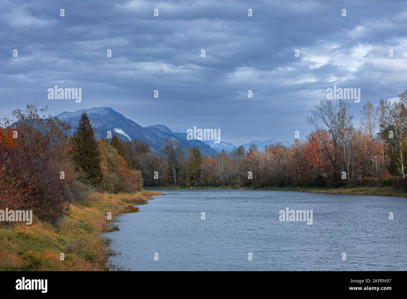Fall foliage in British Columbia mountains. Canadian woods in fall autumn season in Agassiz by