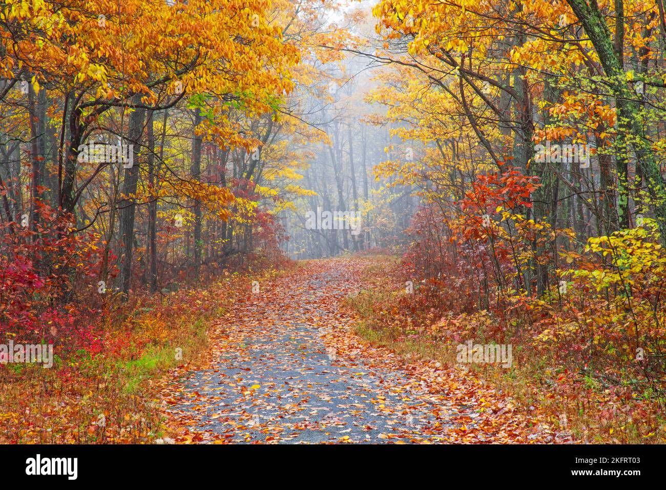 Hiking new jersey hi-res stock photography and images - Page 3 - Alamy