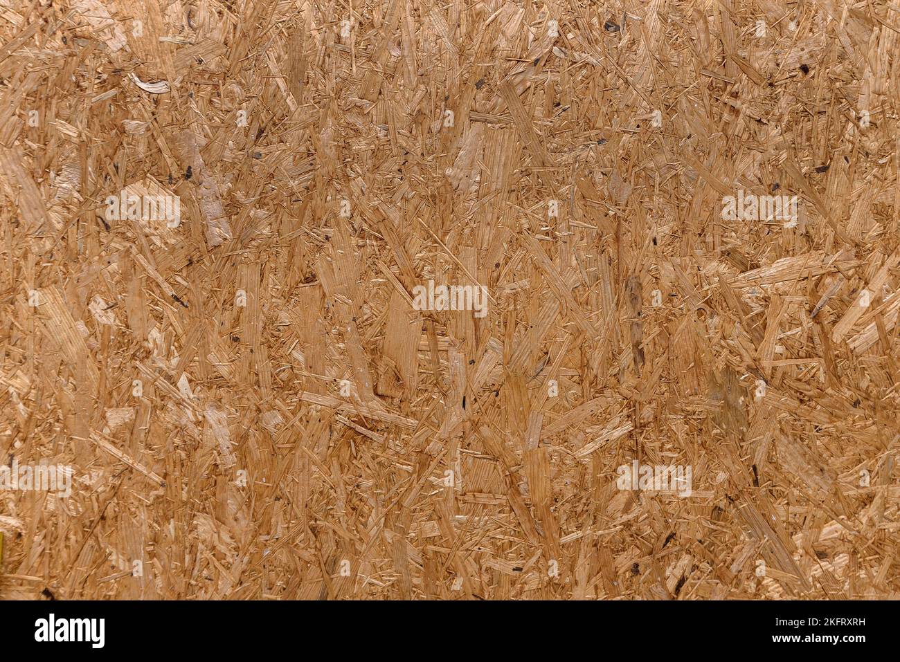 Structure of a chipboard, Bavaria, Germany, Europe Stock Photo Alamy