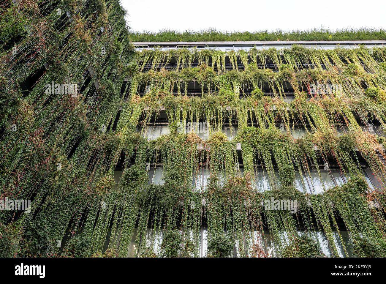 Green passage hi-res stock photography and images - Alamy