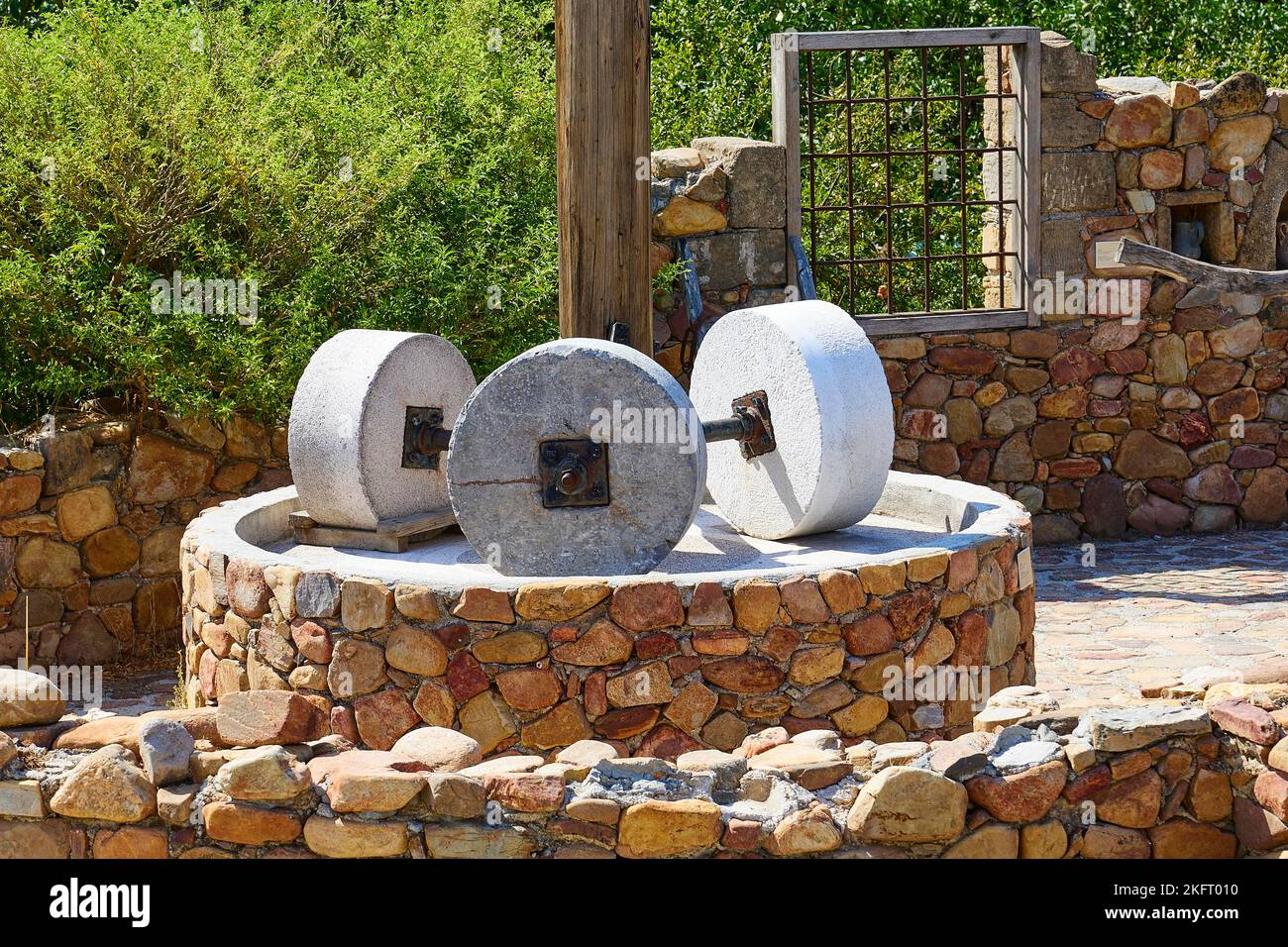 Olives (olivae), olive oil mill, olive museum, Vouves, West Crete
