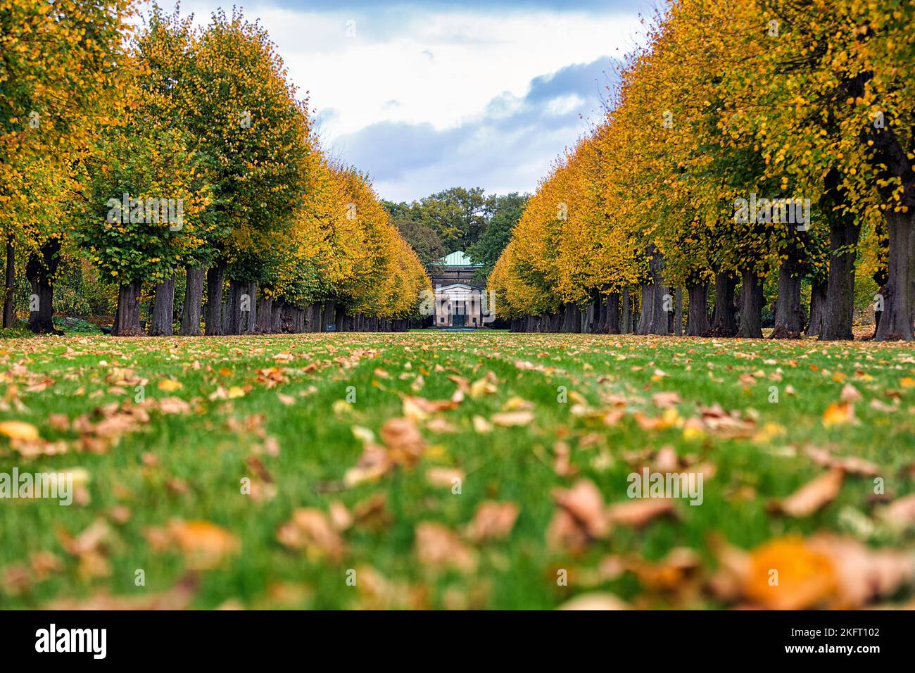 Autumn leaves in a meadow in front of the Guelph Mausoleum, dreary weather, Berggarten, Herrenhäuser Gärten, Hanover, Lower Saxony, Germany, Europe Stock Photo
