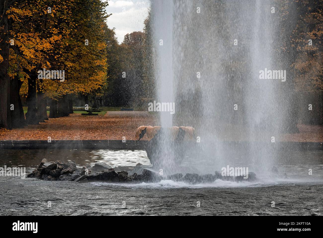 Large fountain, detail, Great Garden, dreary autumn weather, Herrenhäuser Gardens, Hanover, Lower Saxony Stock Photo