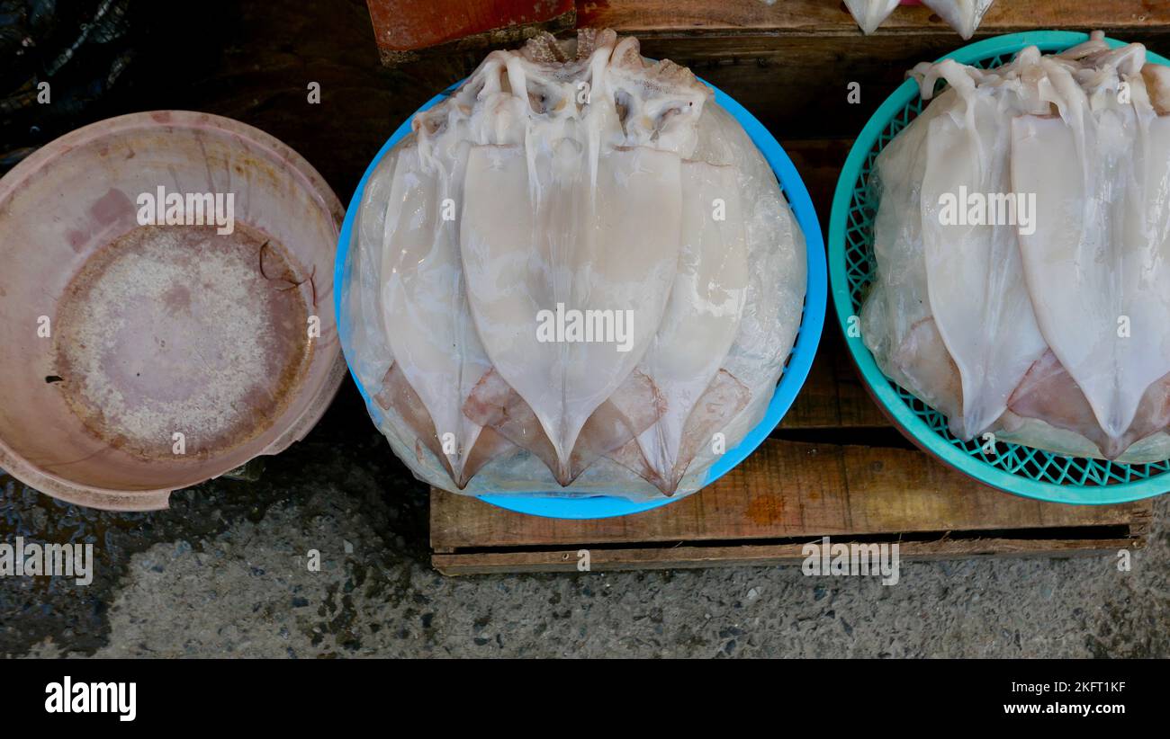 Octopus or squid displayed for sale in plastic bowls in market in South Korea Stock Photo
