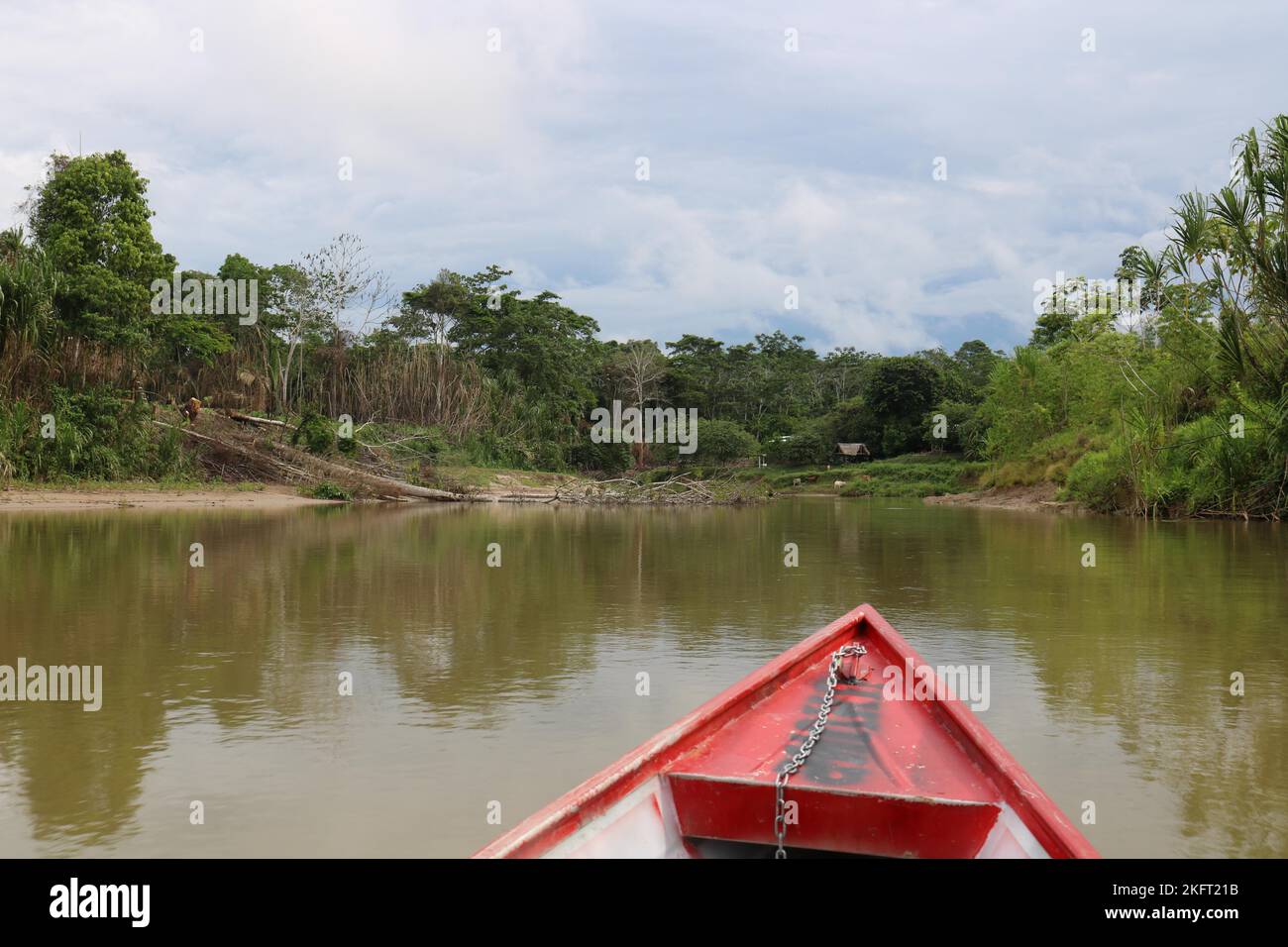 Amazon rainforest, view of the Jordão River, Acre, Brazil, South