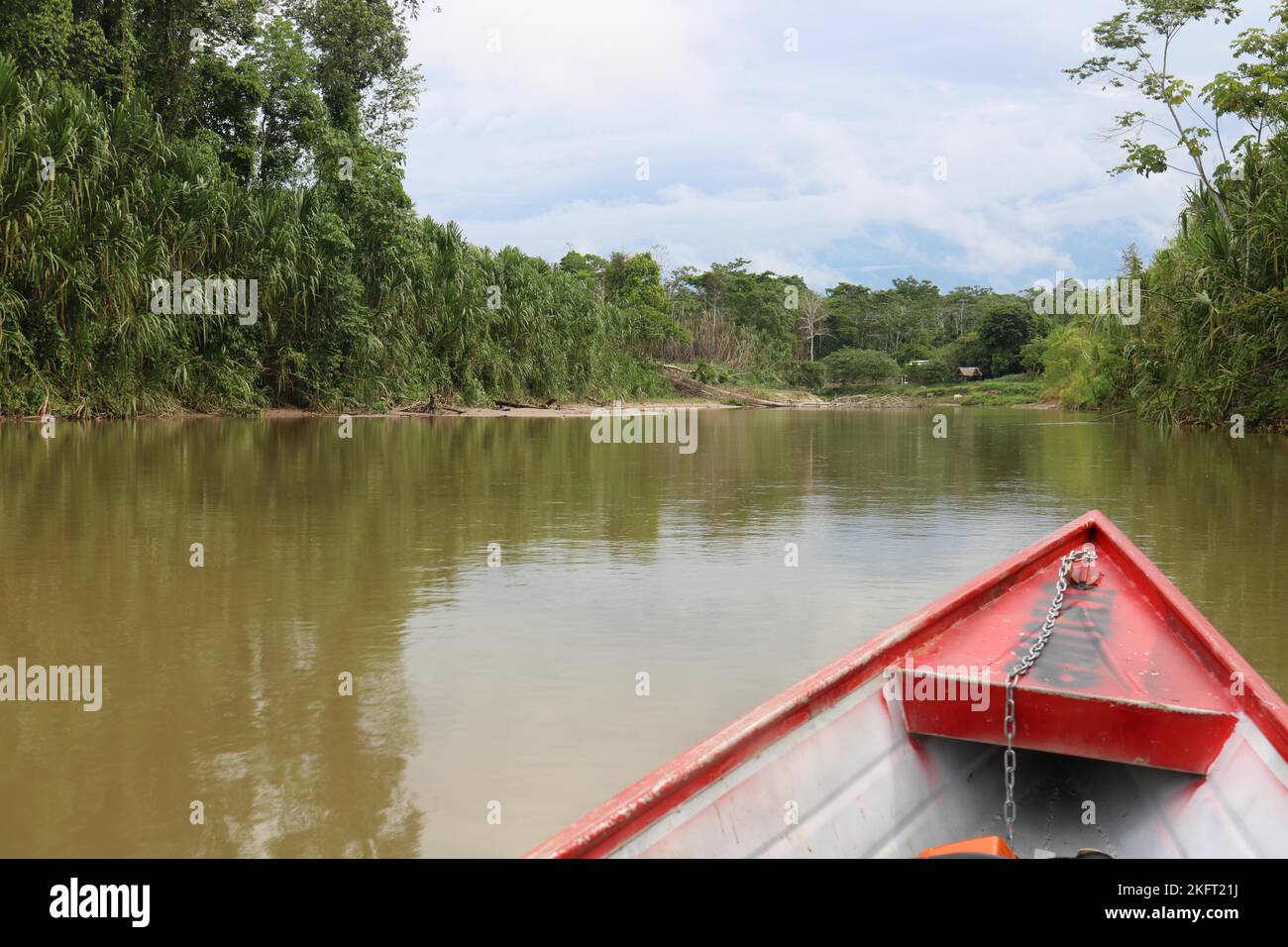 View of the Amazon rainforest and Jordão River from a boat of the