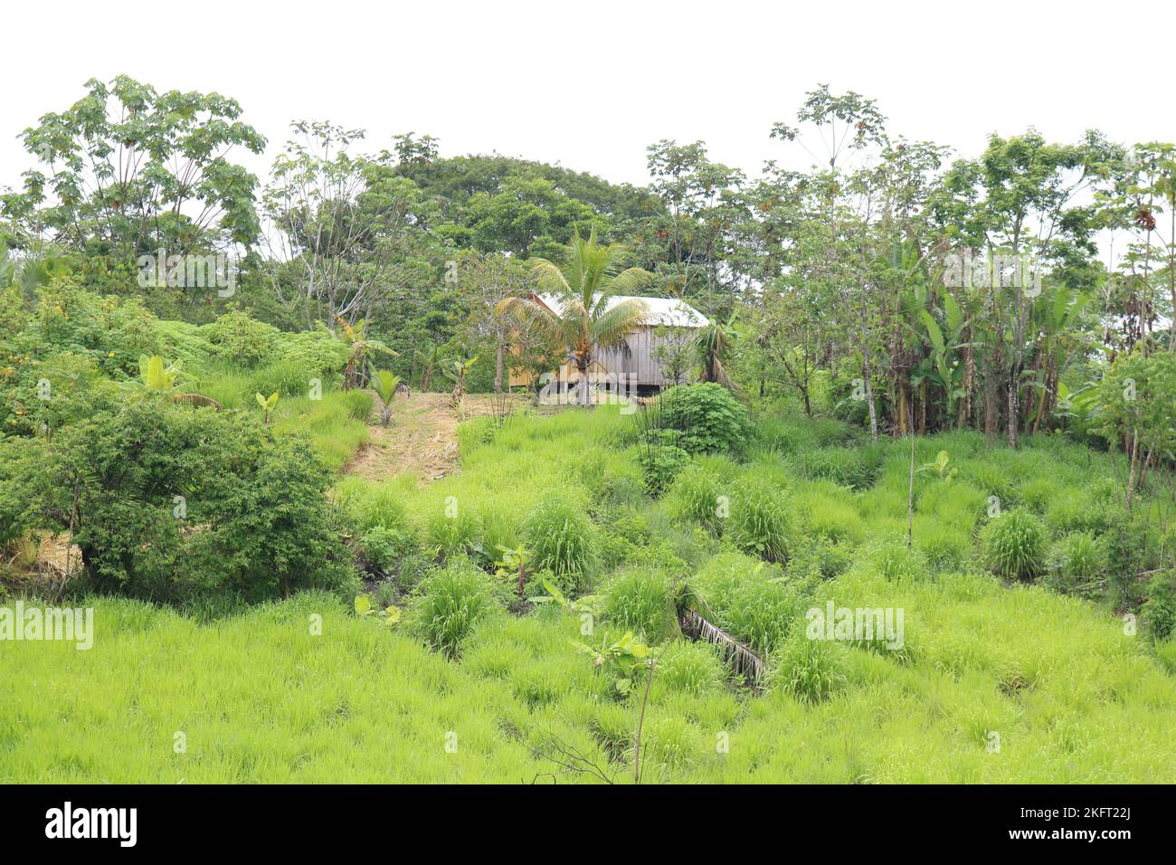 Indigenous people, house in the village of the indigenous people Huni