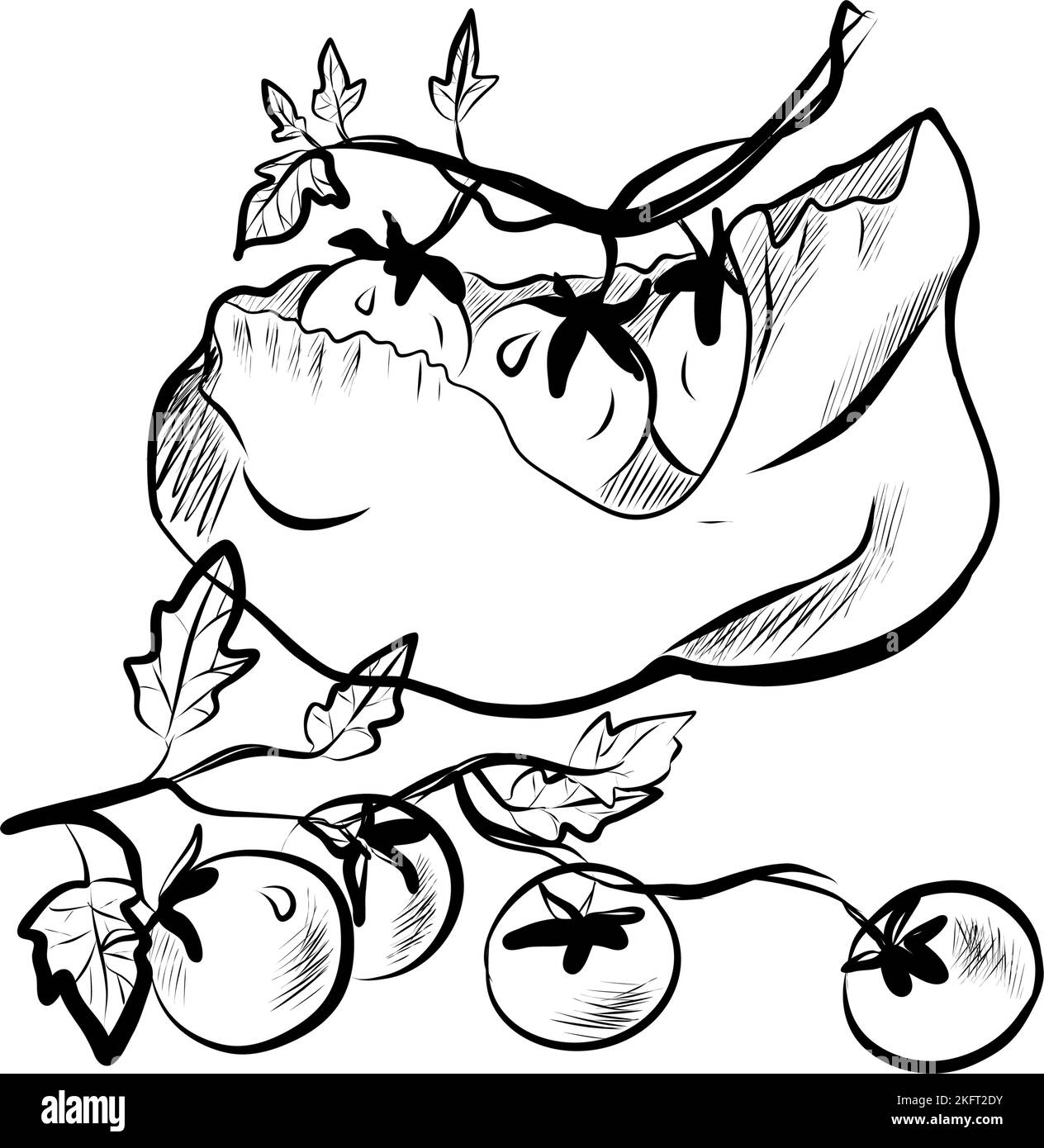 Sketch Illustration of Cherry Tomatoes. Hand Drawn Icon on White