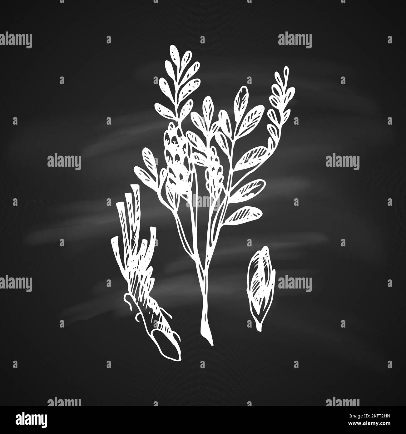 The white silhouette of the liquorice on black background painted a gel pen Stock Vector