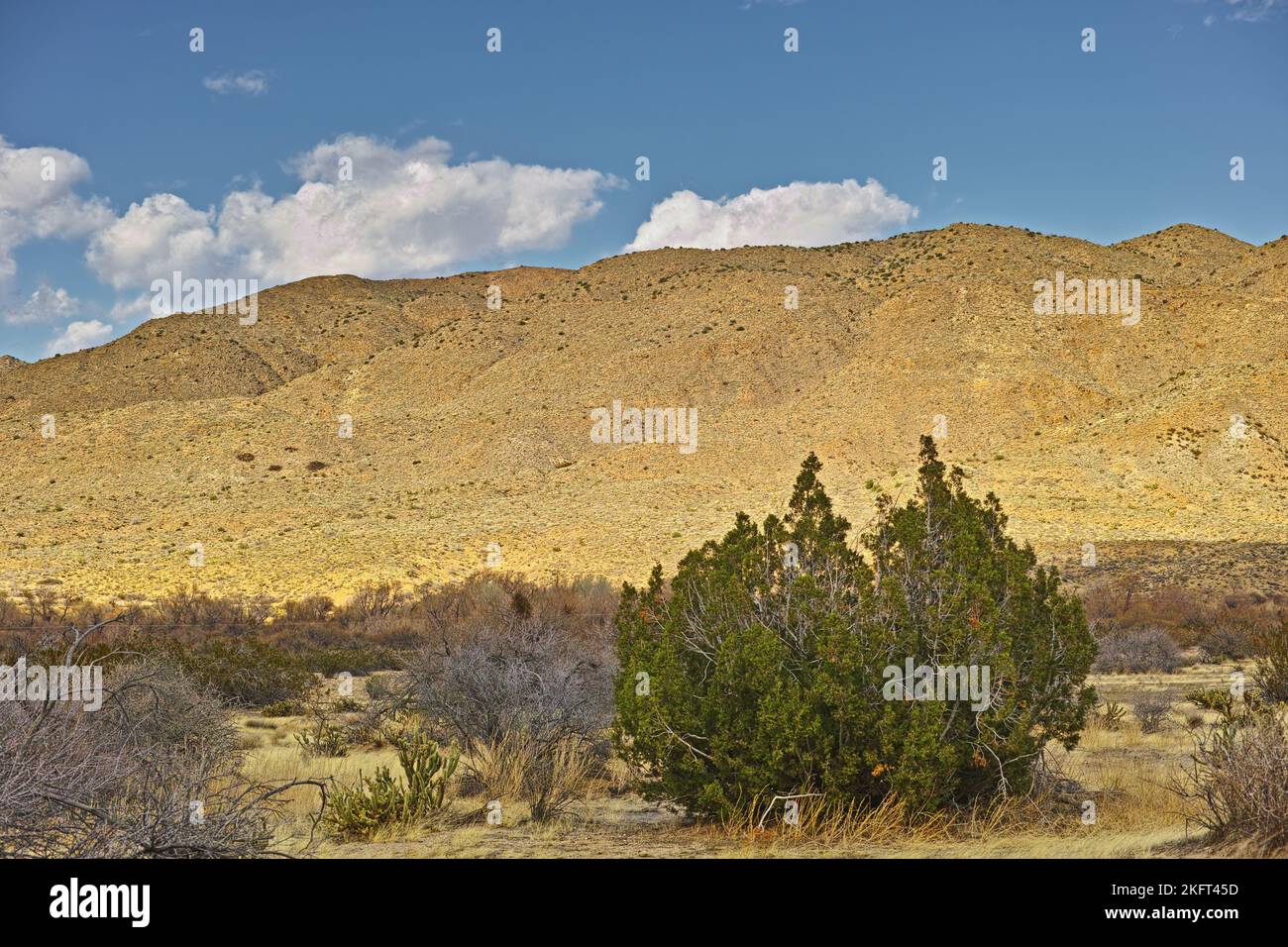 Californian desert - Anza-Borrego. Anza-Borrego Desert State Park, Southern California, USA. Stock Photo
