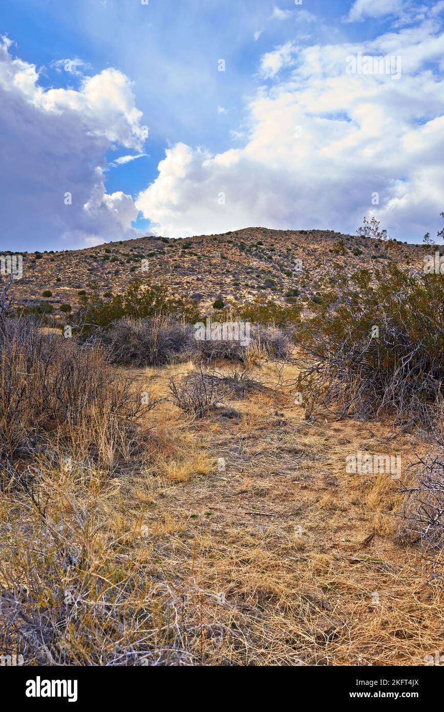 Californian desert AnzaBorrego. AnzaBorrego Desert State Park
