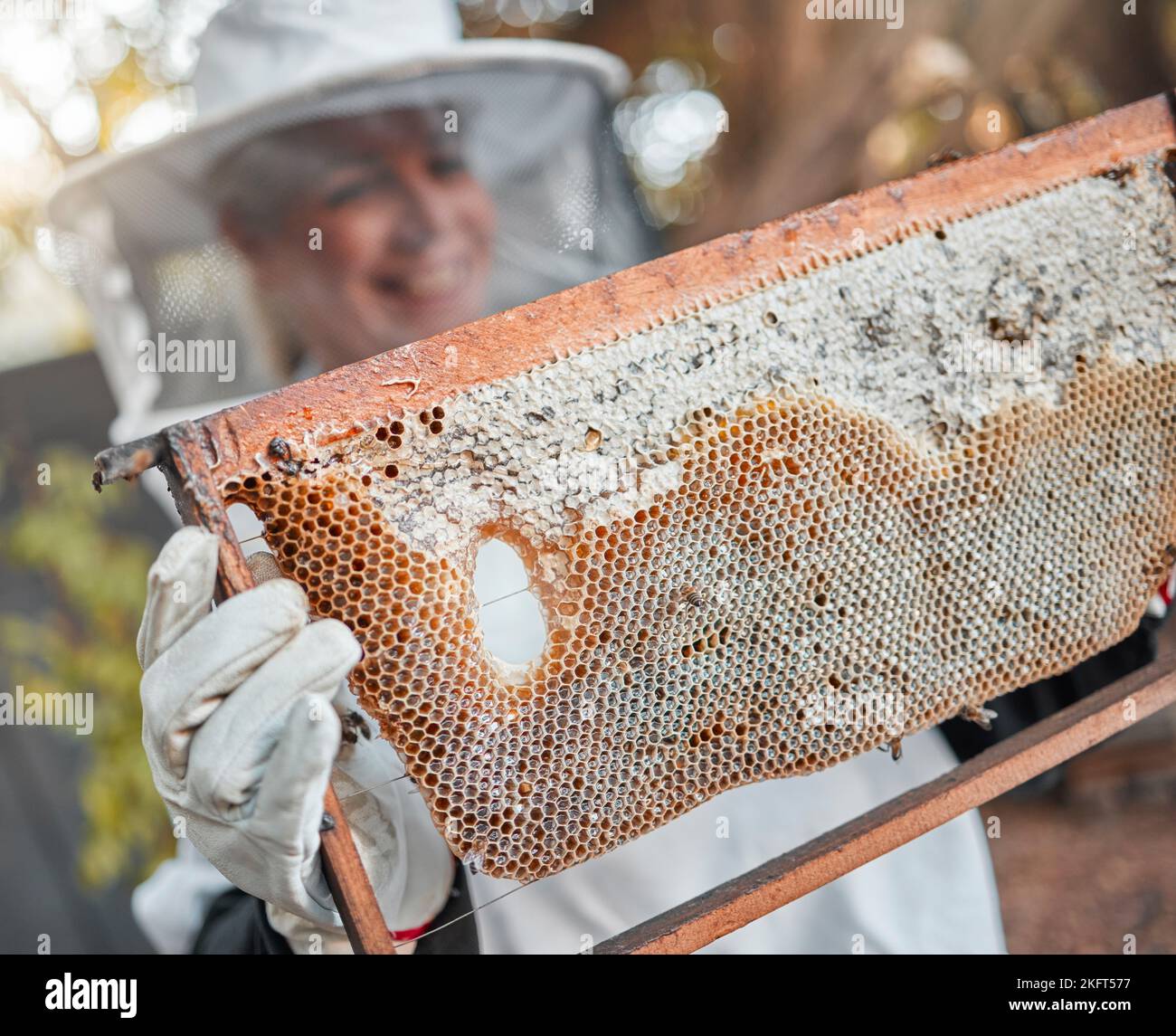 Beekeeper, bee farming and honey production with and woman in