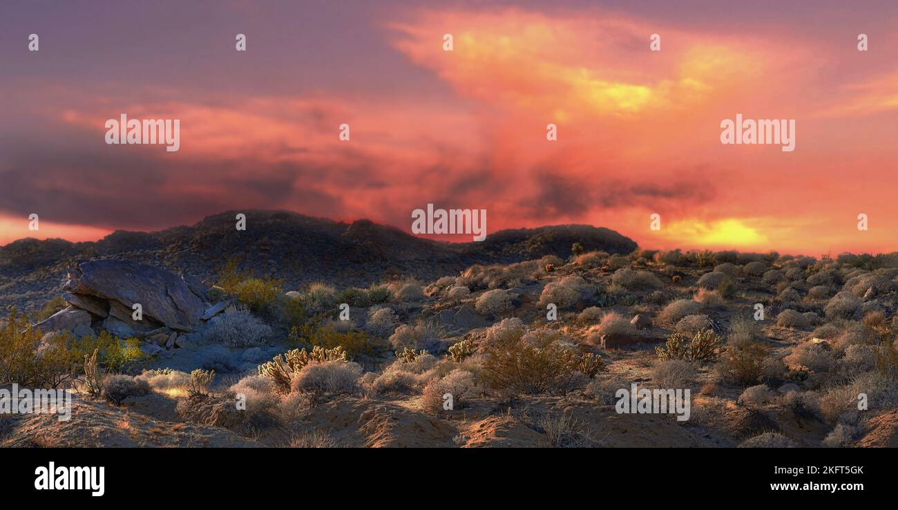 Californian desert - Anza-Borrego. Anza-Borrego Desert State Park, Southern California, USA. Stock Photo