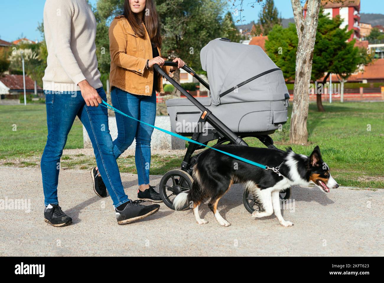 Glad couple with stroller and dog walking together on footpath against green lawn and trees during promenade in summer Stock Photo