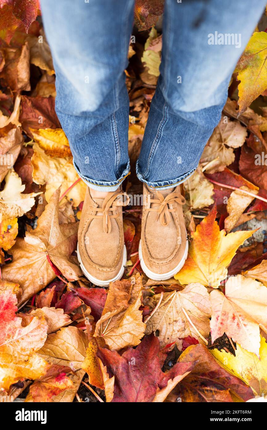 Top view of crop anonymous person in boots standing on ground covered with fallen yellow leaves Stock Photo