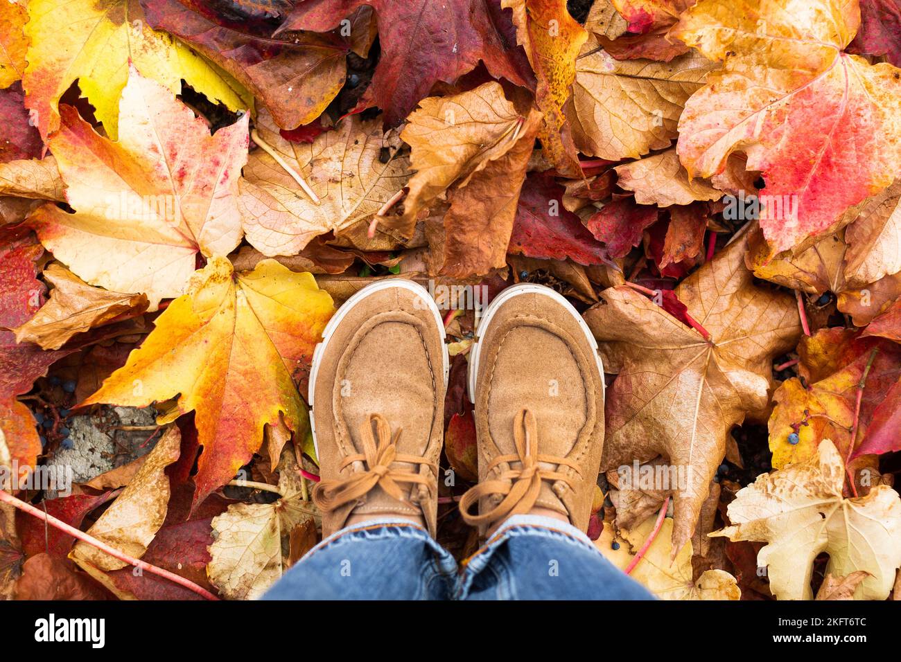 Top view of crop anonymous person in boots standing on ground covered with fallen yellow leaves Stock Photo