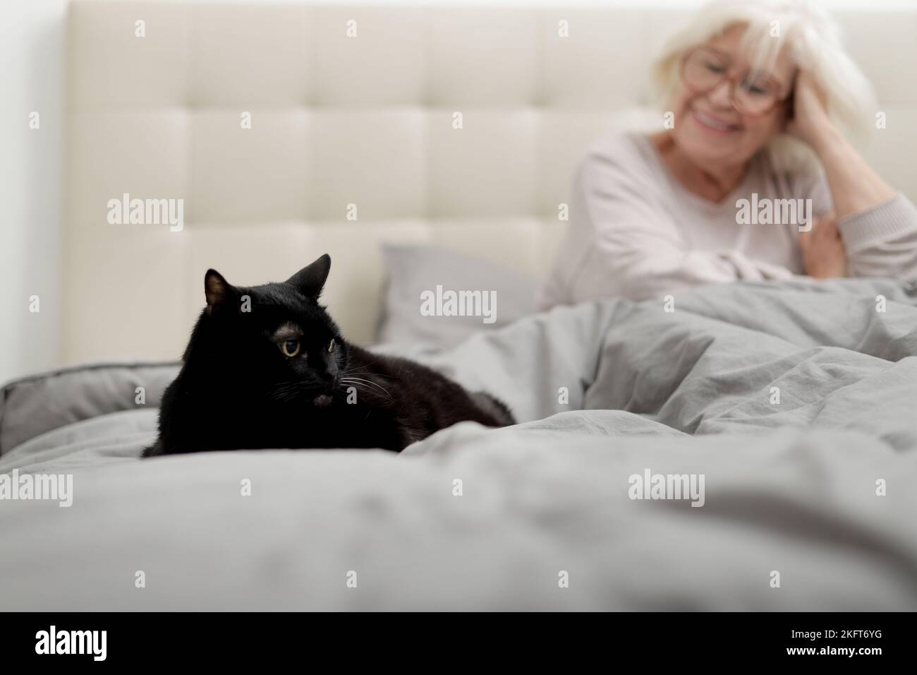 Cheerful senior lady with white hair sitting on bed under grey blanket next to a adorable black cat Stock Photo