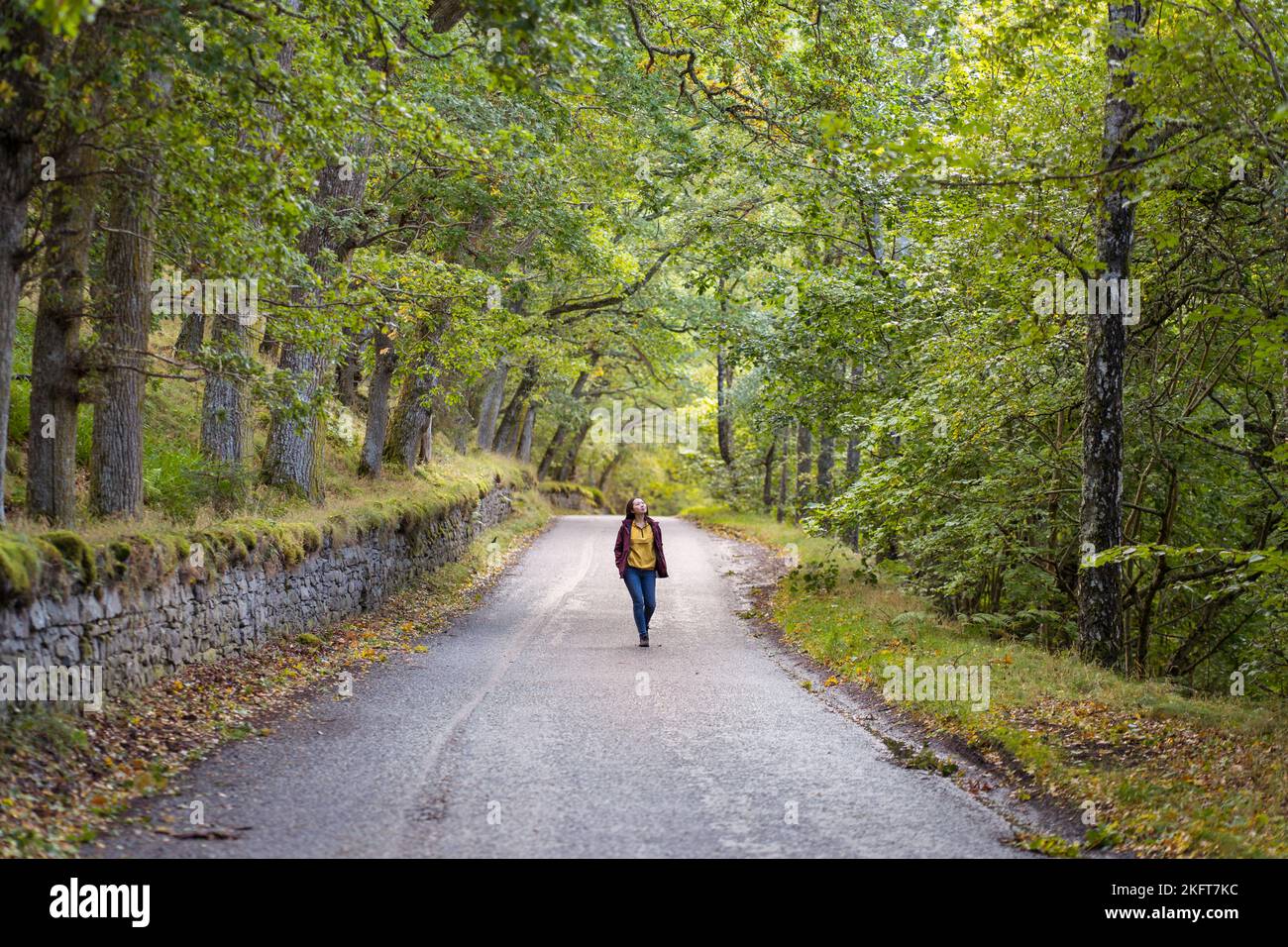 Female tourist strolling along asphalt road and admiring forest trees on weekend day in countryside of Scotland Stock Photo