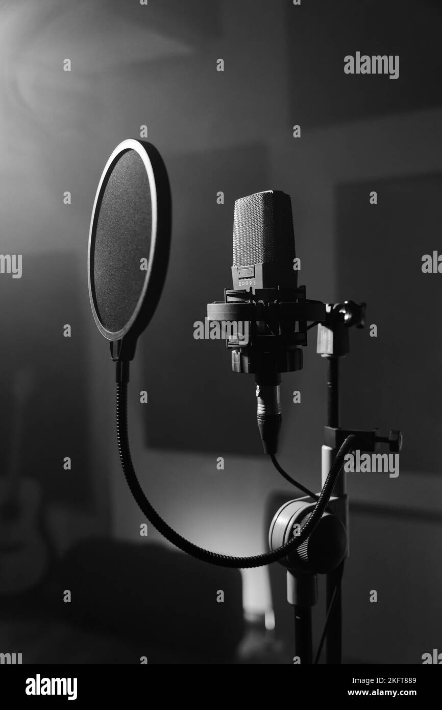 Microphone for recording for vocal singer with shock mount and pop