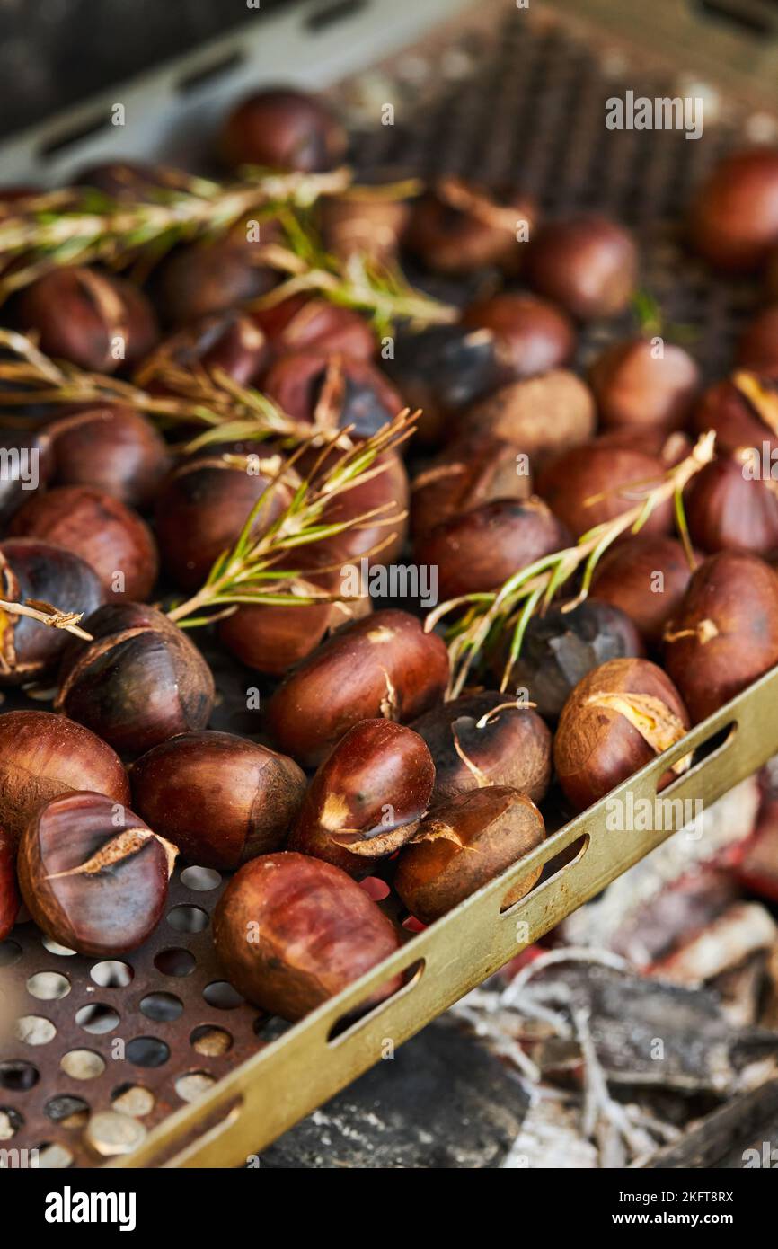 From above closeup of pile of fresh chestnuts on metal tray near dry leaves on soil in autumn forest Stock Photo