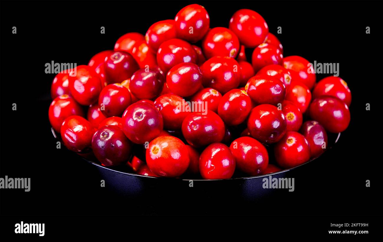 Cranberries on a black background. Ripe and organic red cranberries on a black background. Ingredient for Christmas and Thanksgiving dishes. Stock Photo