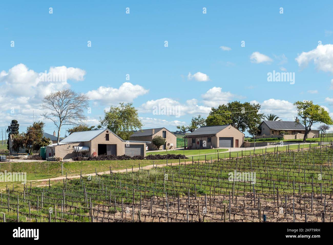 Somerset West, South Africa - Sep 19, 2022: Farm buildings and vineyards on Winery Road near Somerset West in the Western Cape Province Stock Photo