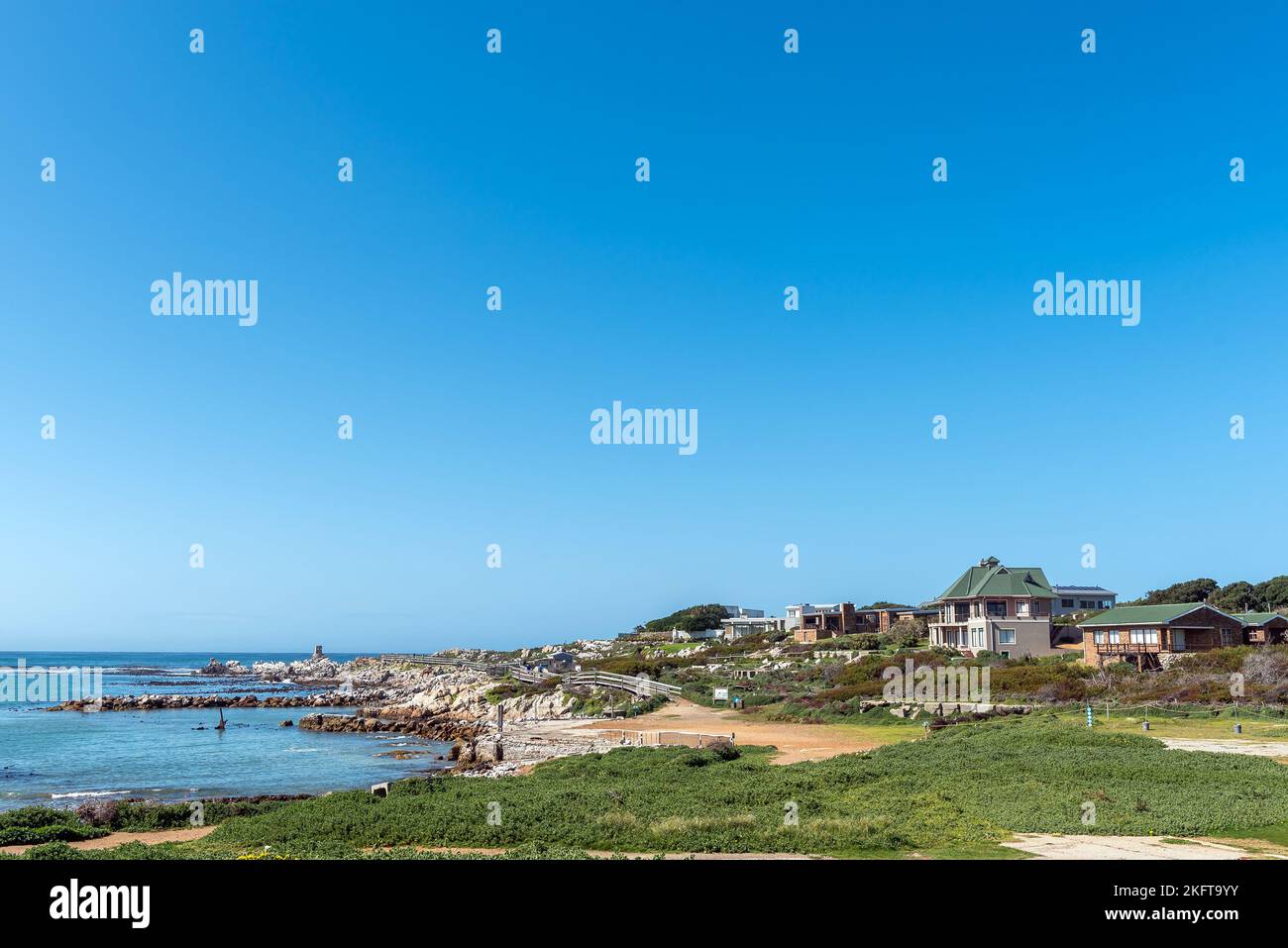 Bettys Bay, South Africa - Sep 20, 2022: A view of Stony Point Nature Reserve, home to a colony of African Penguins Stock Photo