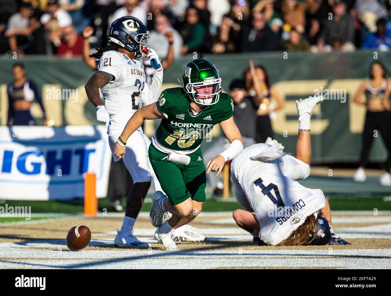 Hornet Stadium. 19th Nov, 2022. U.S.A. Sacramento State quarterback Asher O'Hara (10) reacts after scoring a touch down during the NCAA Causeway Classic Football game between UC Davis Aggies and the Sacramento State Hornets. Sacramento State beat UC Davis 27-21 at Hornet Stadium. Thurman James/CSM/Alamy Live News Stock Photo