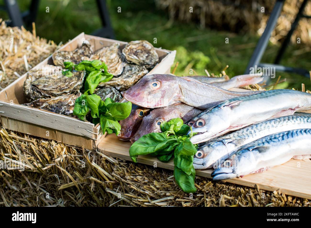 BBQ Outdoor with food preparations. People eating and dining outdoor ...