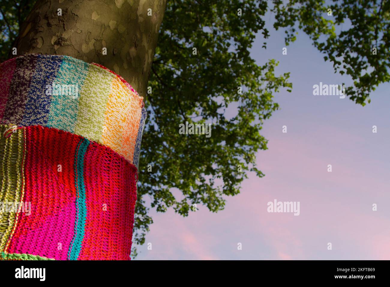 Yarn bombing (Tricot urbain in french) is  street art consisting in covering plants, trees, objects in streets or public places with decorative knitte Stock Photo