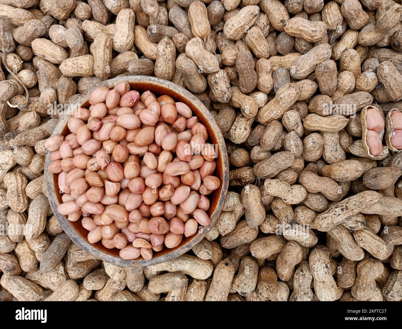 Peanut, groundnut, monkey nut, nut, golden brown colour seeds pods